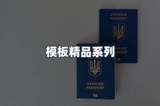 模板精品系列